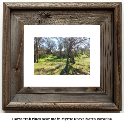 horse trail rides near me in Myrtle Grove, North Carolina